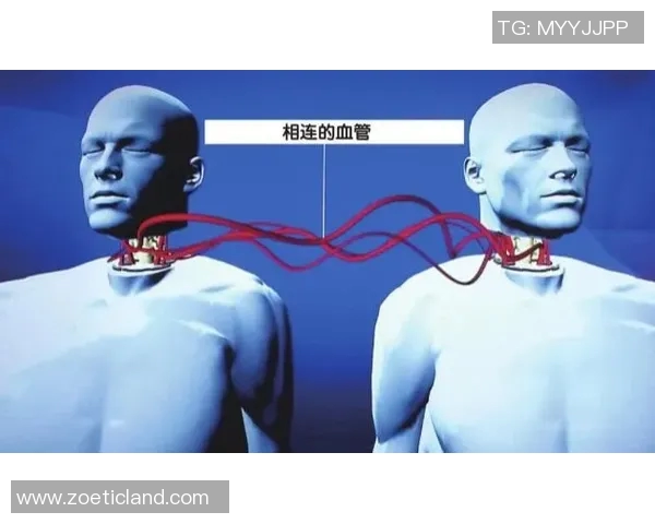 专访李伟：探寻篮球领域成功背后的秘密与智慧